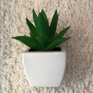 Decor plant
